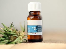 Cbd gummies for back pain