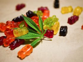 cbd gummies for anxiety