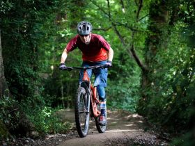 mountain bike rentals