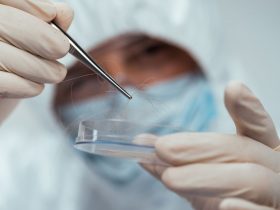 Hair Drug Test
