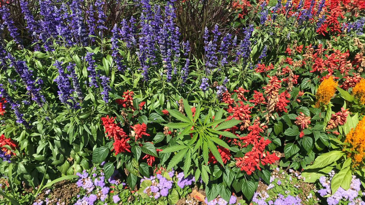 benefits of labor outsourcing